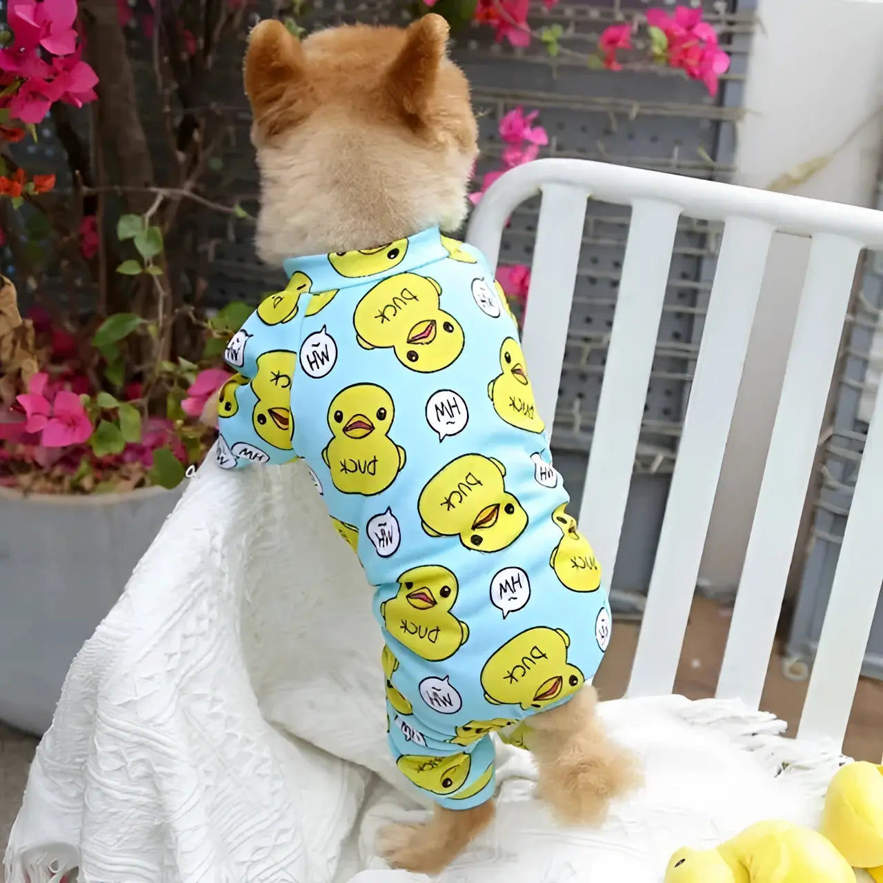 Cozy Pup Onesies